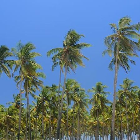 Tiara Fiesta Beach Cottages モージム エクステリア 写真